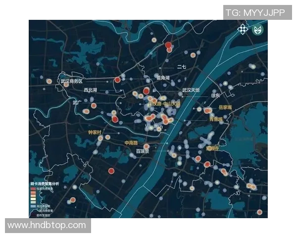 武汉足球队在锦标赛中的技术表现分析与未来展望